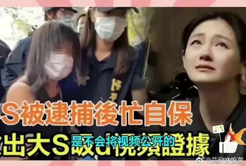 吃瓜台湾娱乐圈男团,瓜田里的青春偶像风云录