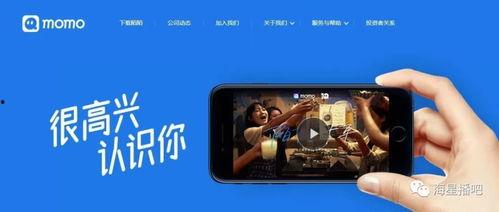 娱乐吃瓜直播怎样加入公会