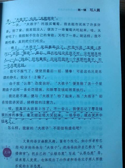 吃瓜的作文300字左右,吃瓜群众欢乐多