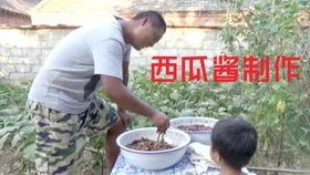 娱乐吃瓜酱农村,揭秘农村生活的趣味瞬间