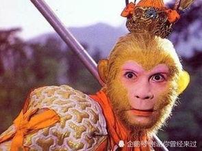 孙悟空吃瓜子图片,品味瓜子的奇幻之旅