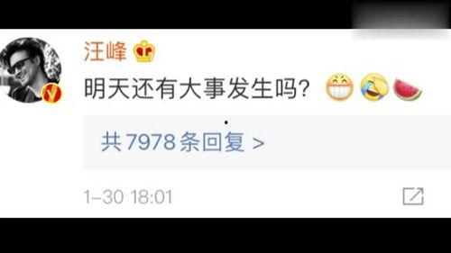 娱乐圈吃瓜爆料网盘下载,网盘下载揭秘，吃瓜群众狂欢时刻