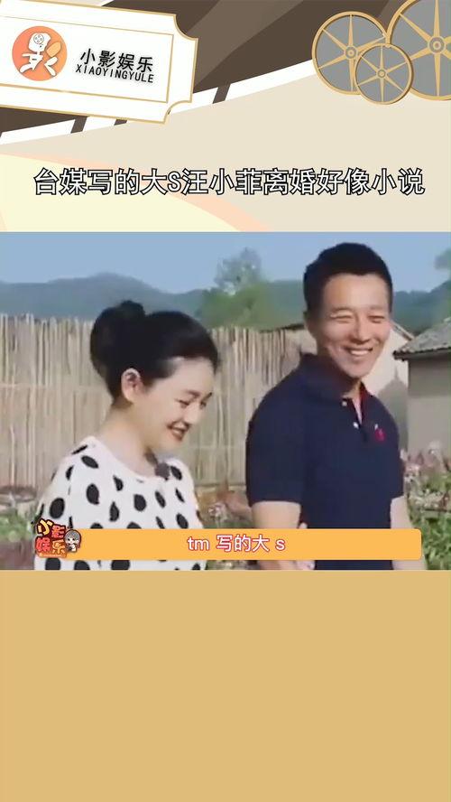 娱乐吃瓜离婚小说,瓜田里的爱情裂痕