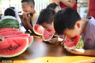 趣味吃瓜大比拼,一场舌尖上的狂欢盛宴